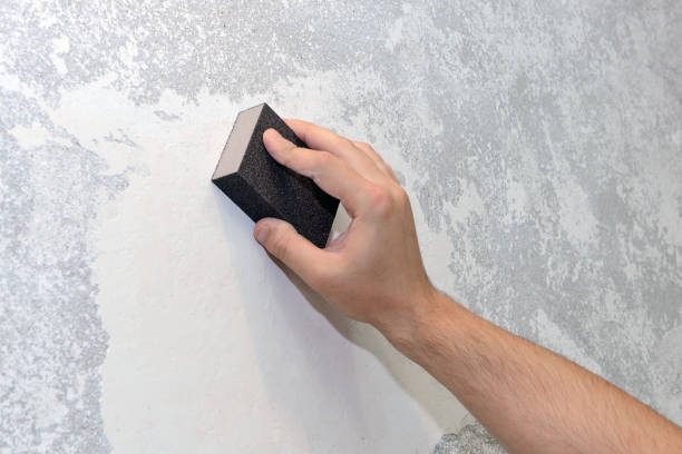  Sells, AZ Mold Removal Pros