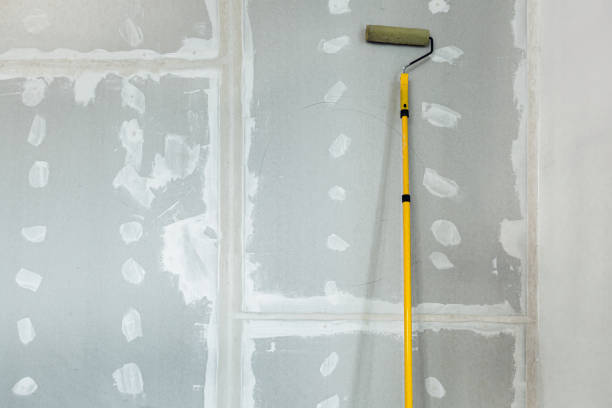 Best Residential Mold Inspection & Testing  in Sells, AZ