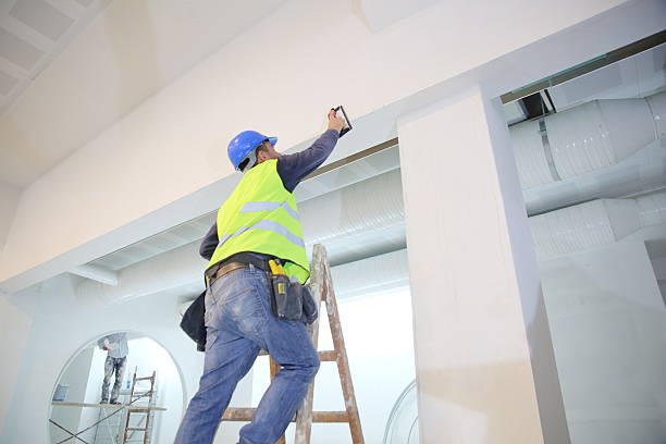 Best Asbestos and Lead Testing During Mold Inspection  in Sells, AZ